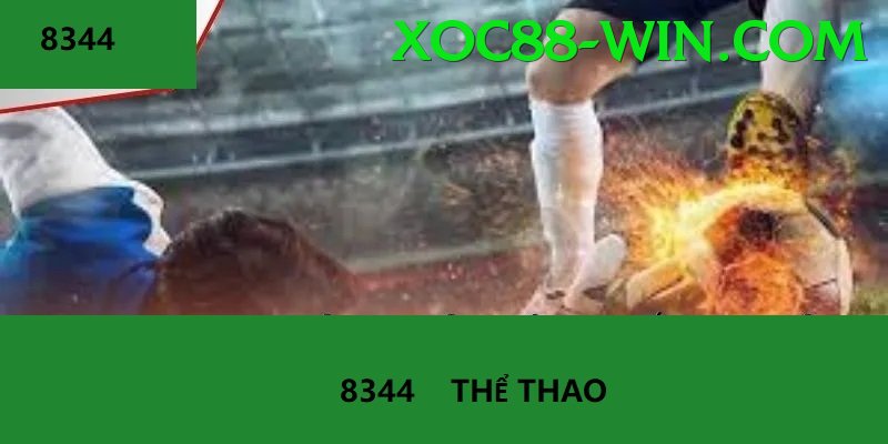 Cá Cược Thể Thao - xoc88